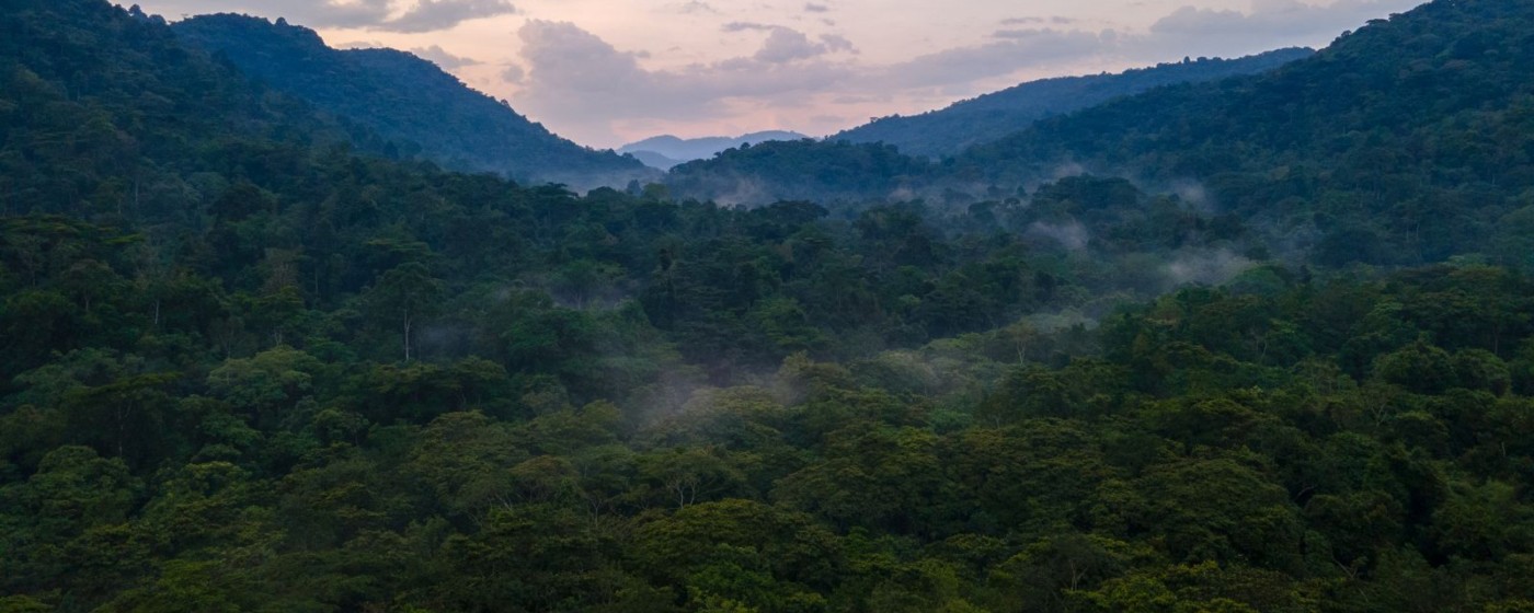 Le colline e la foresta di Bwindi avvolte nella nebbia, Uganda