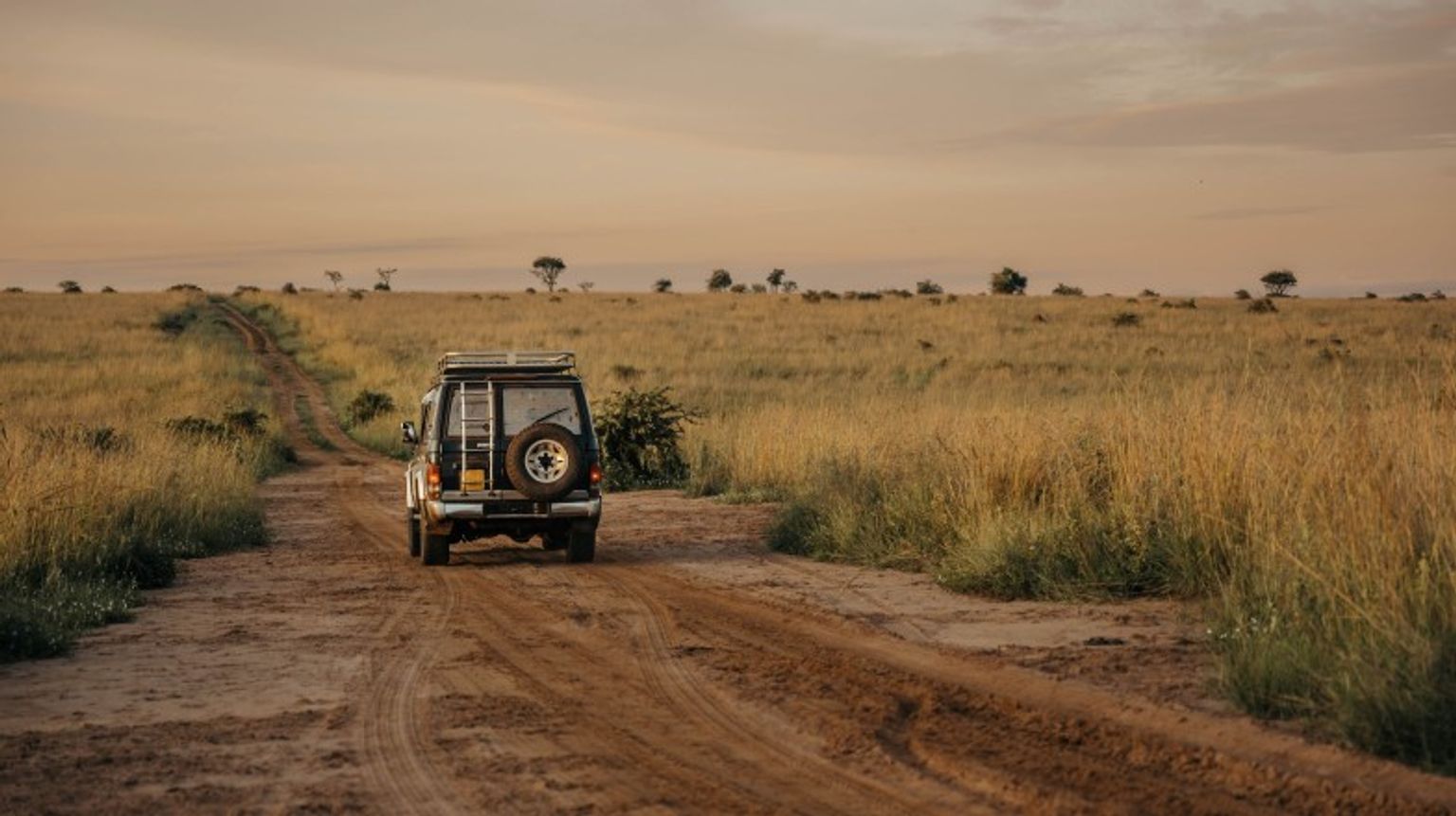 Safari, Uganda
